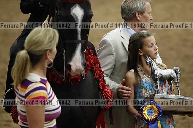 Proof 11yn_16042