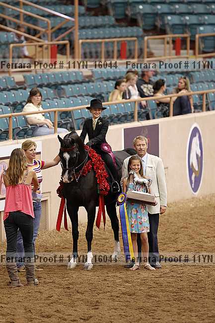 Proof 11yn_16044