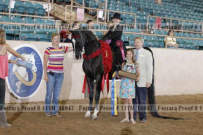 Proof 11yn_16047