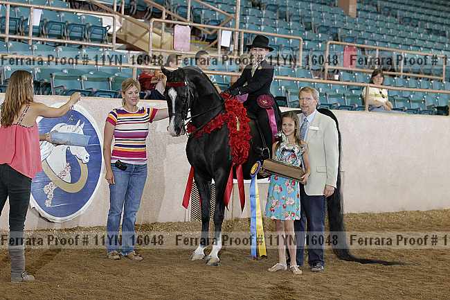 Proof 11yn_16048