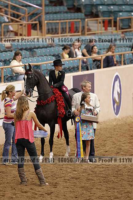 Proof 11yn_16050