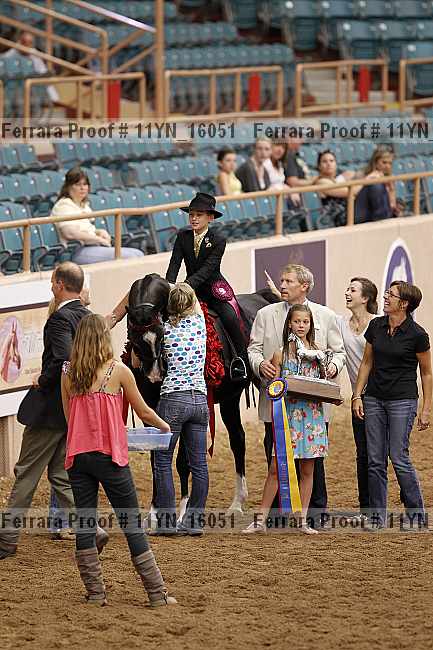 Proof 11yn_16051