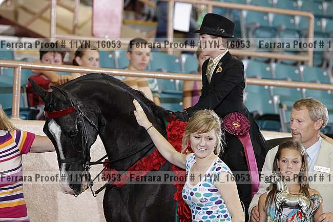Proof 11yn_16053