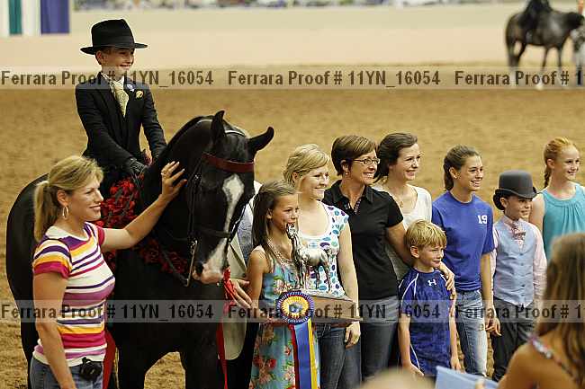 Proof 11yn_16054
