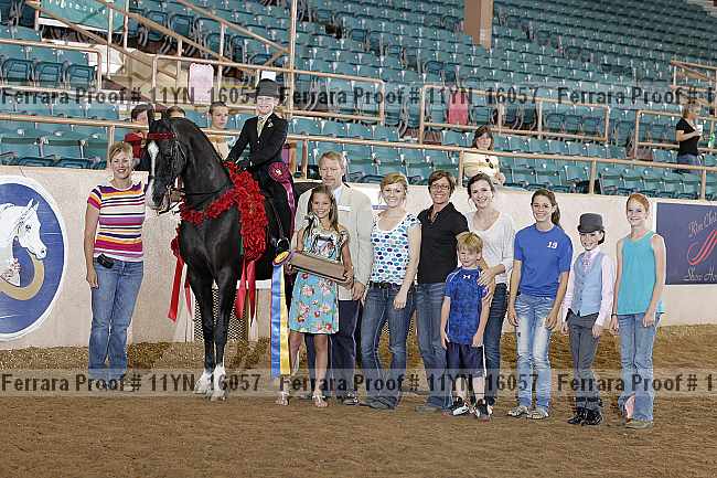 Proof 11yn_16057