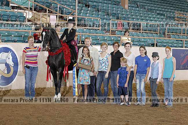 Proof 11yn_16060