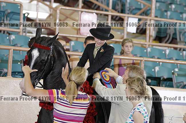 Proof 11yn_16063
