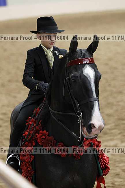 Proof 11yn_16064