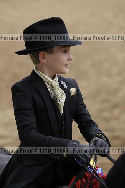 Proof 11yn_16065