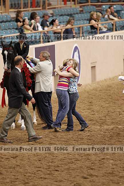 Proof 11yn_16066