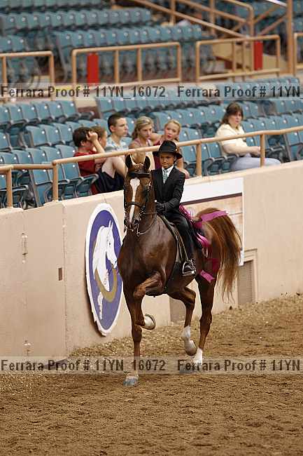 Proof 11yn_16072