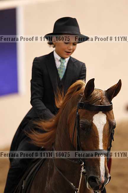 Proof 11yn_16075