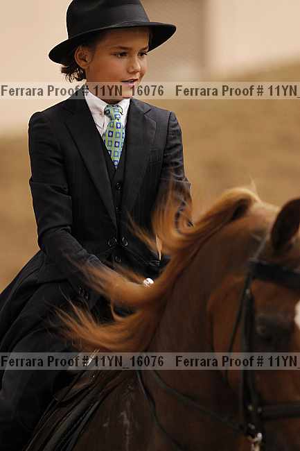 Proof 11yn_16076