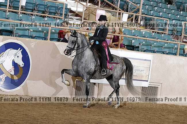 Proof 11yn_16079