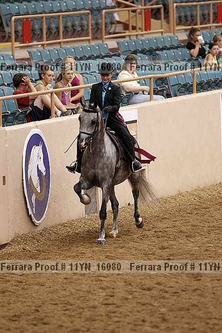Proof 11yn_16080