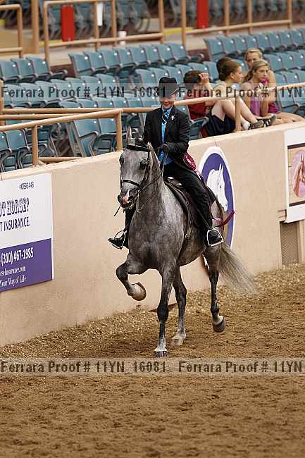 Proof 11yn_16081