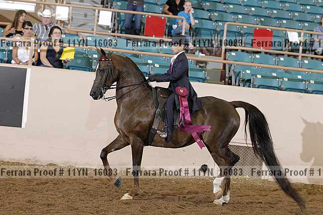 Proof 11yn_16083