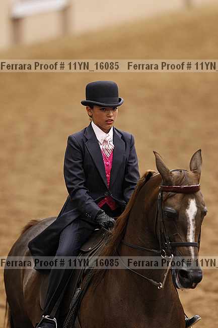 Proof 11yn_16085