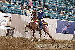 11yn_16087 proof