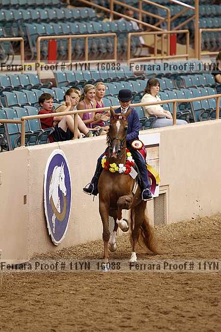 Proof 11yn_16088