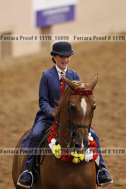 Proof 11yn_16090