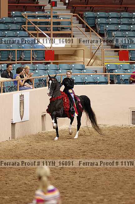 Proof 11yn_16091