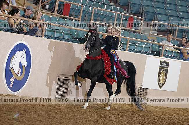 Proof 11yn_16092