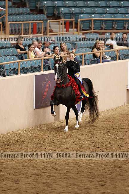 Proof 11yn_16093