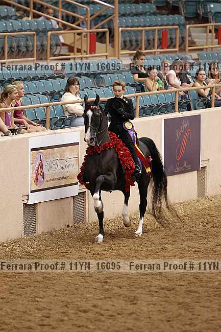 Proof 11yn_16095