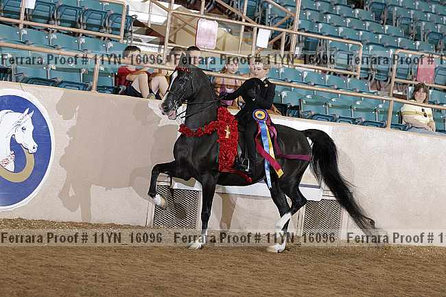 Proof 11yn_16096