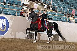 11yn_16096 proof