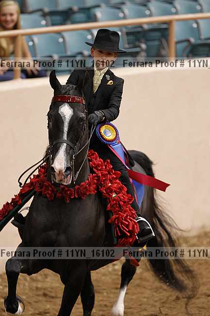 Proof 11yn_16102