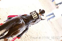 11yn_16103 proof