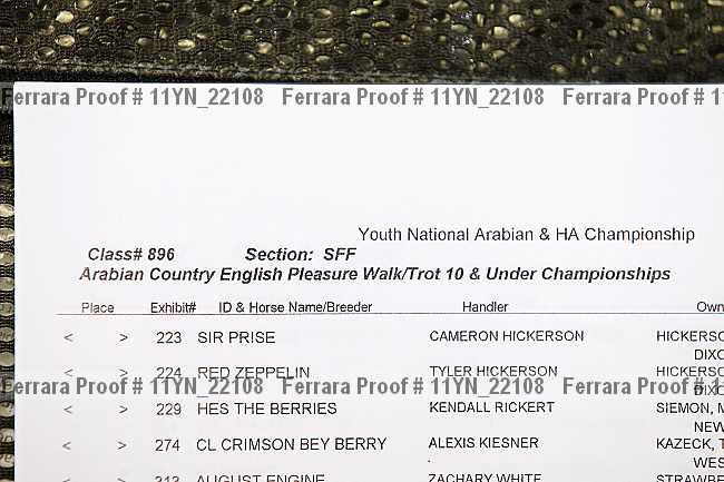 Proof 11yn_22108