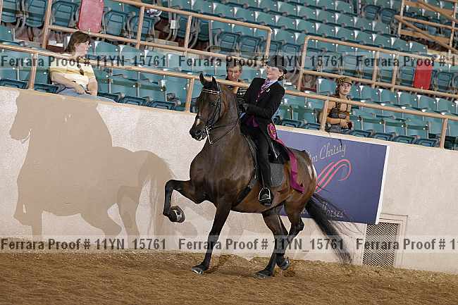 Proof 11yn_15761