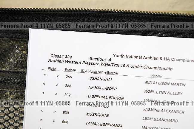 Proof 11yn_05865