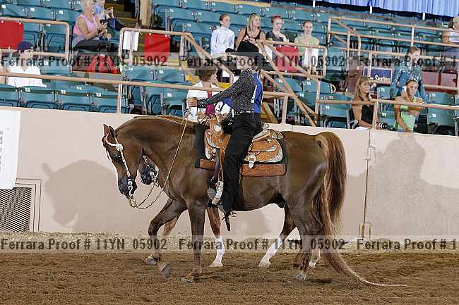 Proof 11yn_05902
