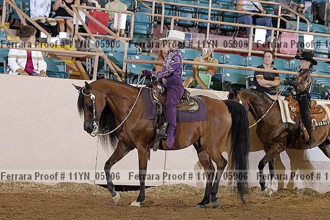 Proof 11yn_05906