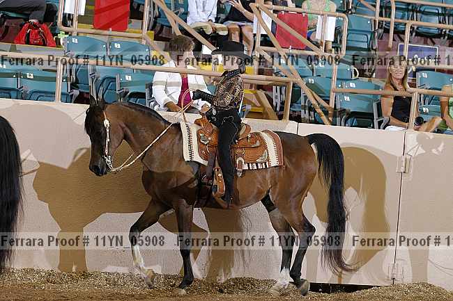 Proof 11yn_05908