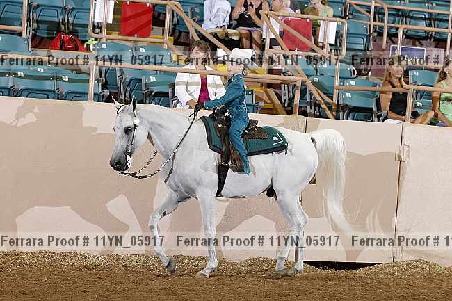 Proof 11yn_05917