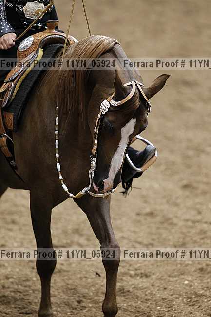Proof 11yn_05924