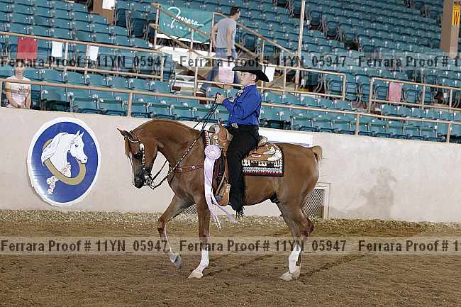 Proof 11yn_05947