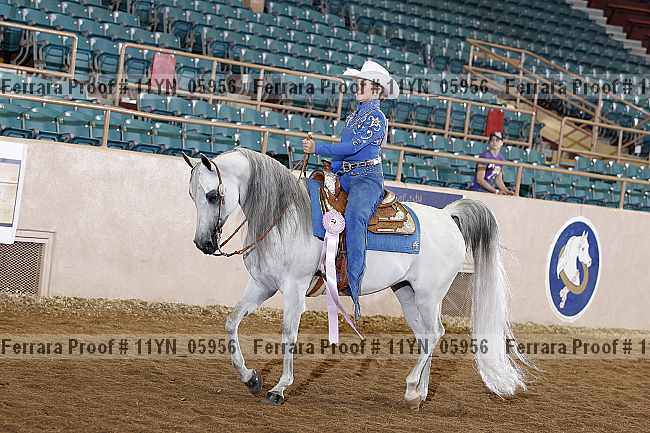 Proof 11yn_05956