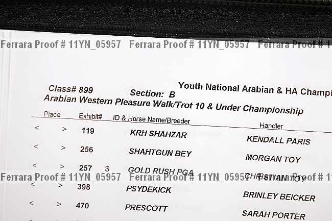 Proof 11yn_05957