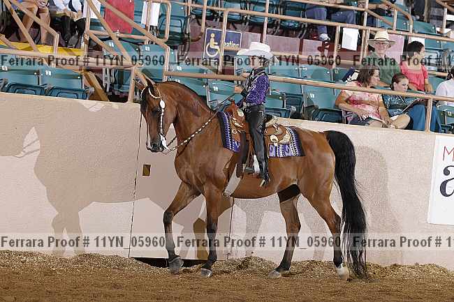 Proof 11yn_05960
