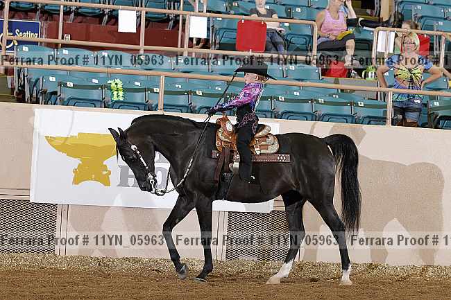 Proof 11yn_05963