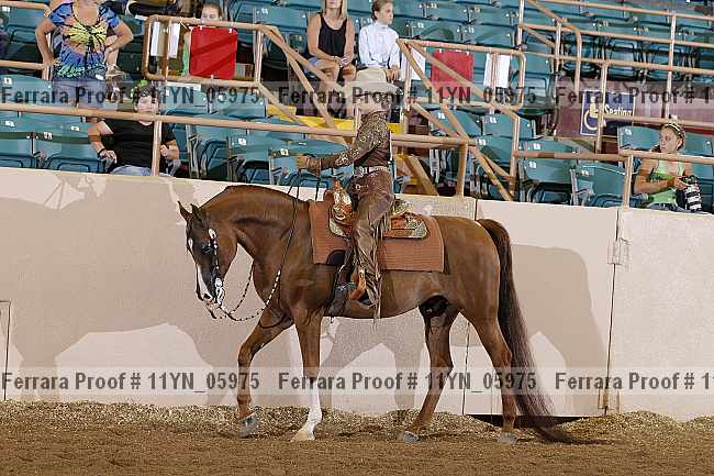 Proof 11yn_05975