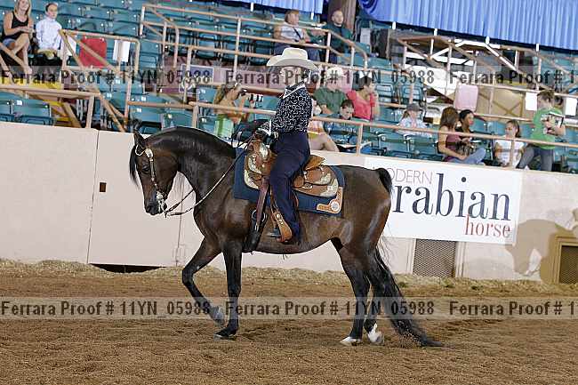 Proof 11yn_05988