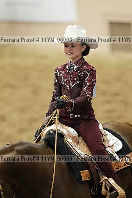 Proof 11yn_06003