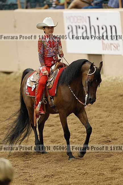 Proof 11yn_06005